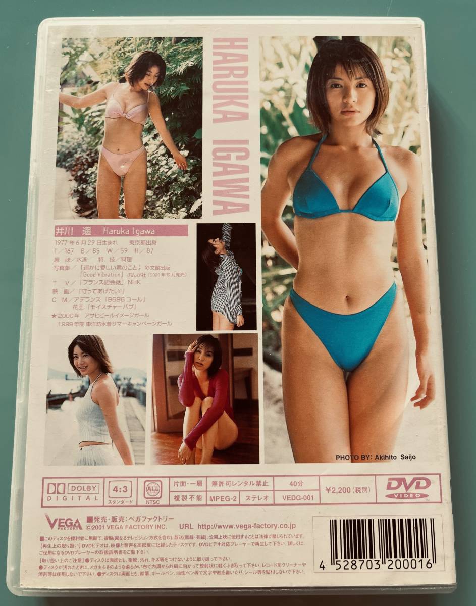 Open Wing 井川遥 DVD セル版　定価：2,200円+税　_画像2