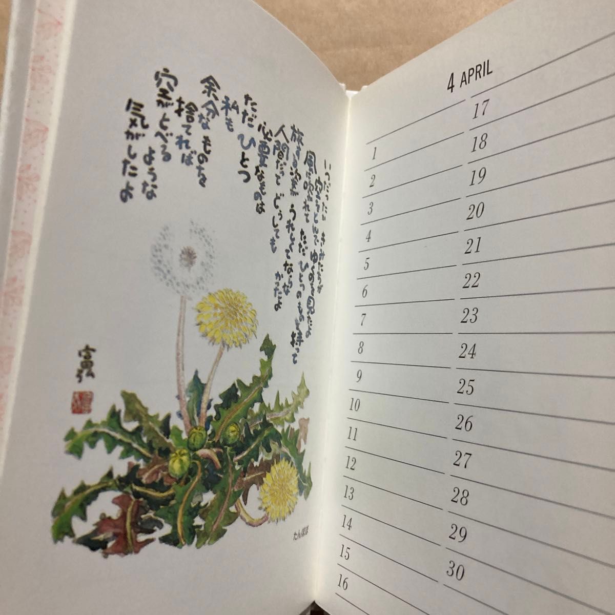 星野富弘四季野の花　Ｐｒｉｖａｔｅ　ｂｏｏｋ　小さな本 （ＰＲＩＶＡＴＥ　ＢＯＯＫ） 星野富弘／著