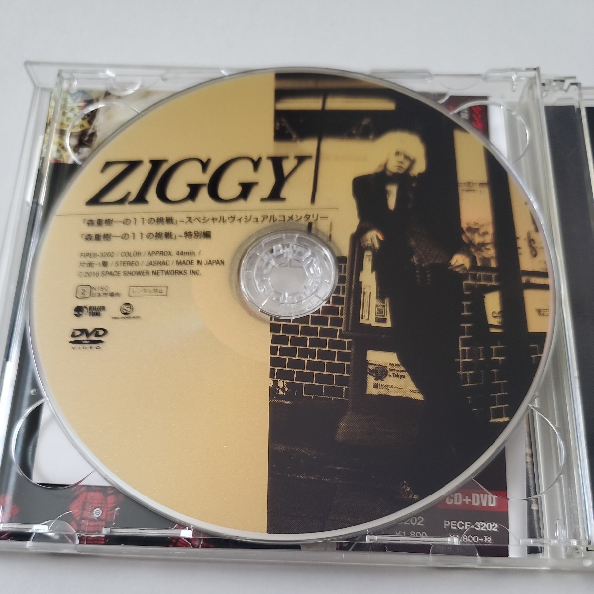 ZIGGY「君の笑顔より美しい花を知らない 」CD+DVD_画像5