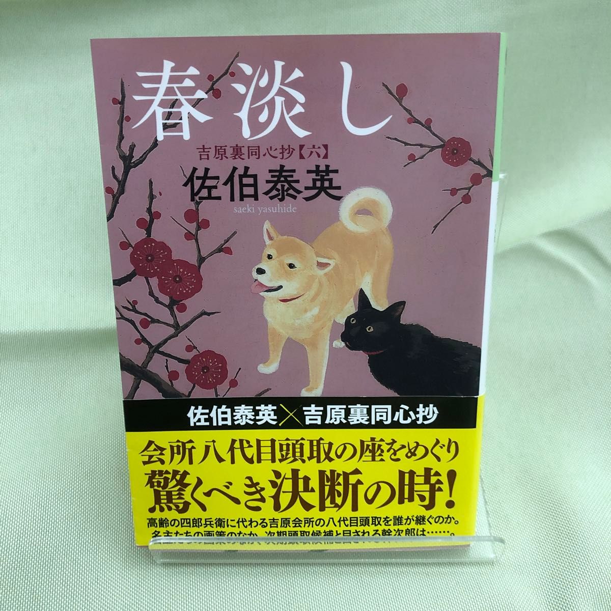 春淡し　文庫書下ろし／長編時代小説　吉原裏同心抄　６ （光文社文庫　さ１８－６８　光文社時代小説文庫） 佐伯泰英／著