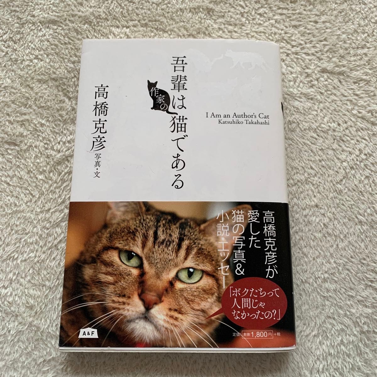 吾輩は作家の猫である