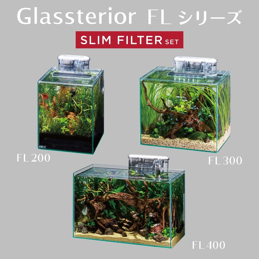  most discussed new commodity GEX glass terrier FL200 slim filter set 3 year guarantee present is [GEX Mini Mini digital water temperature gage ]. 