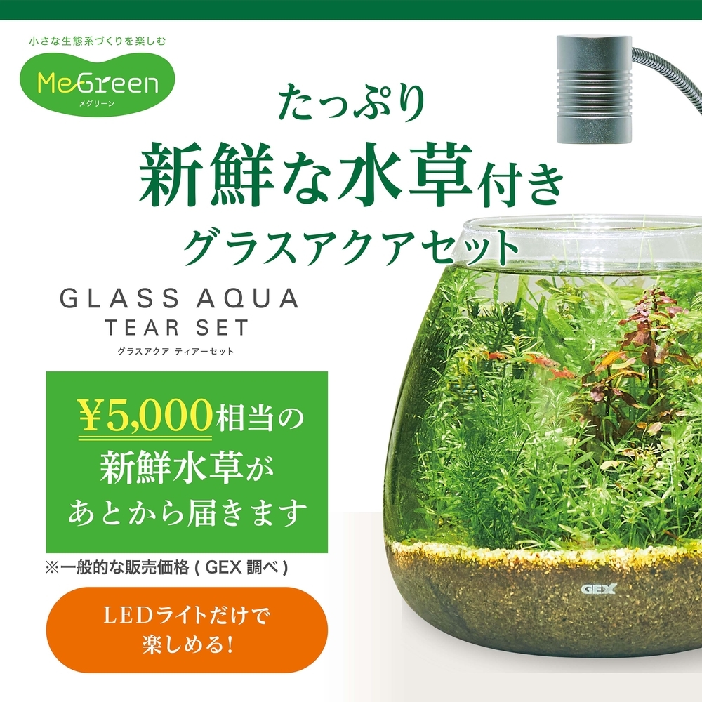  обсуждаемый новый товар GEX MeGreen(me зеленый ) свежий . водоросли имеется стакан терьер 200 комплект 
