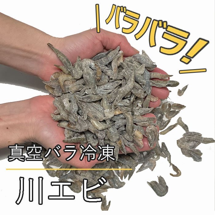 真空 バラ 冷凍 川エビ 450g かわえび エサ 熱帯魚 古代魚 餌 冷凍エサ カワエビ 海老 ※えさ用の画像1