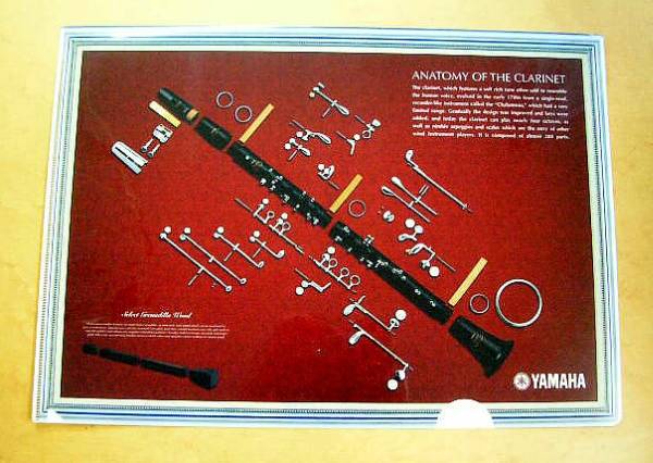 貴重 珍《ヤマハ クラリネット　アナトミー　クリアファイル》 :管楽器　吹奏楽　オーケストラ_画像1
