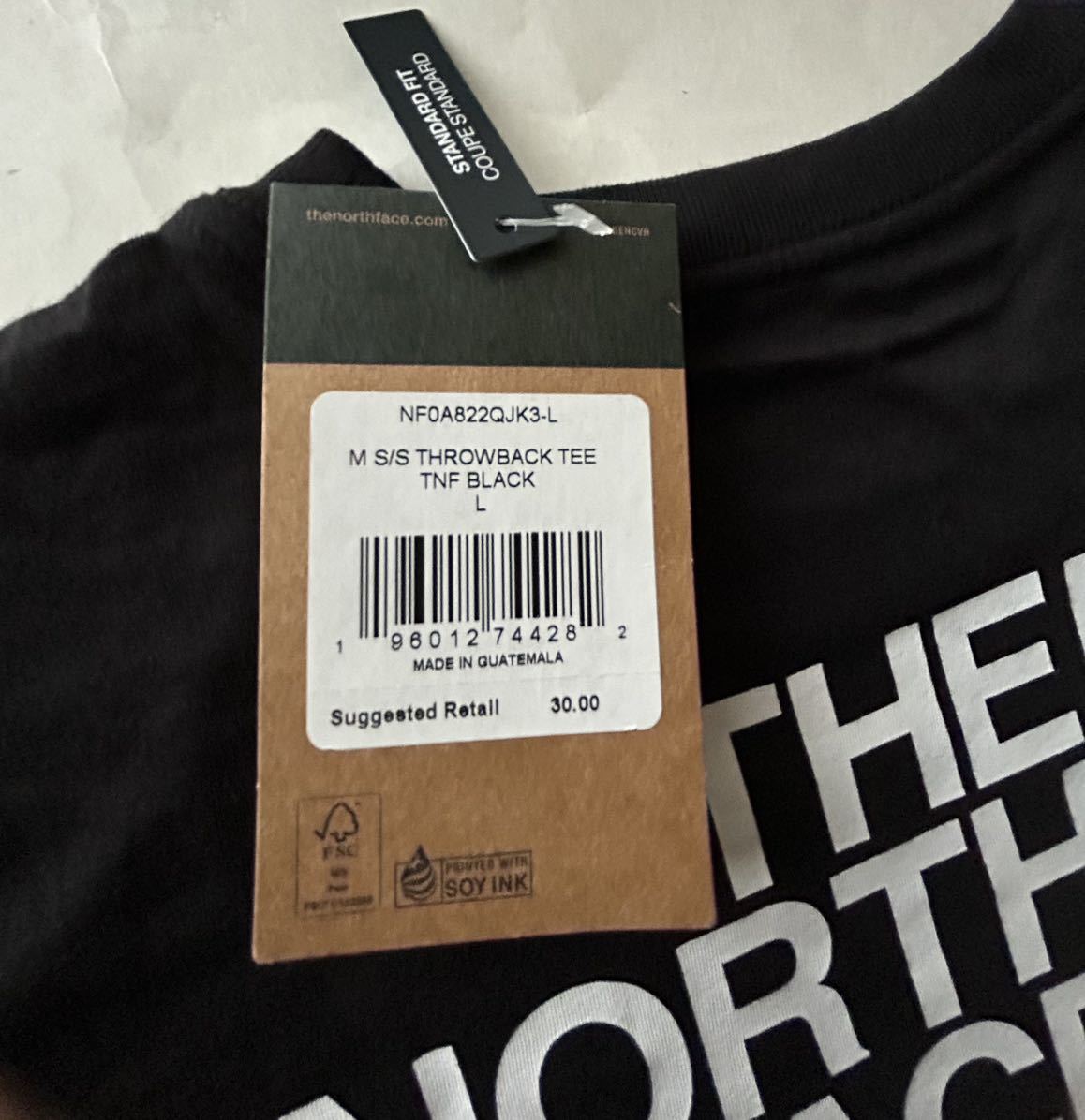 【送料無料】新品ノースフェイス THE NORTH FACE メンズ バックプリント Tシャツ 黒 L【日本サイズL～LL位】 正規品 クールネック Aの画像5