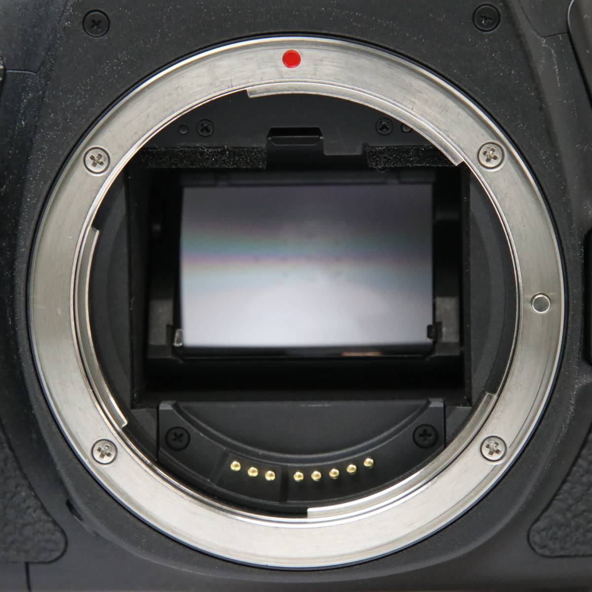 #F1069【美品】 Canon キヤノン EOS 6D ボディ_画像5