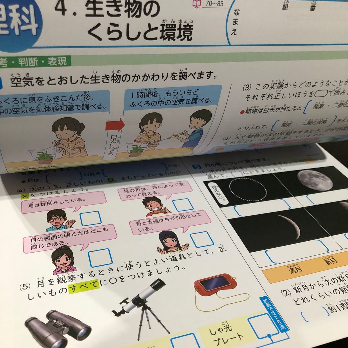 2095 理科C ６年 新学社 AF642M 小学 ドリル 問題集 テスト用紙 教材 テキスト 解答 家庭学習 計算 漢字 過去問 ワーク 勉強 非売品_画像5