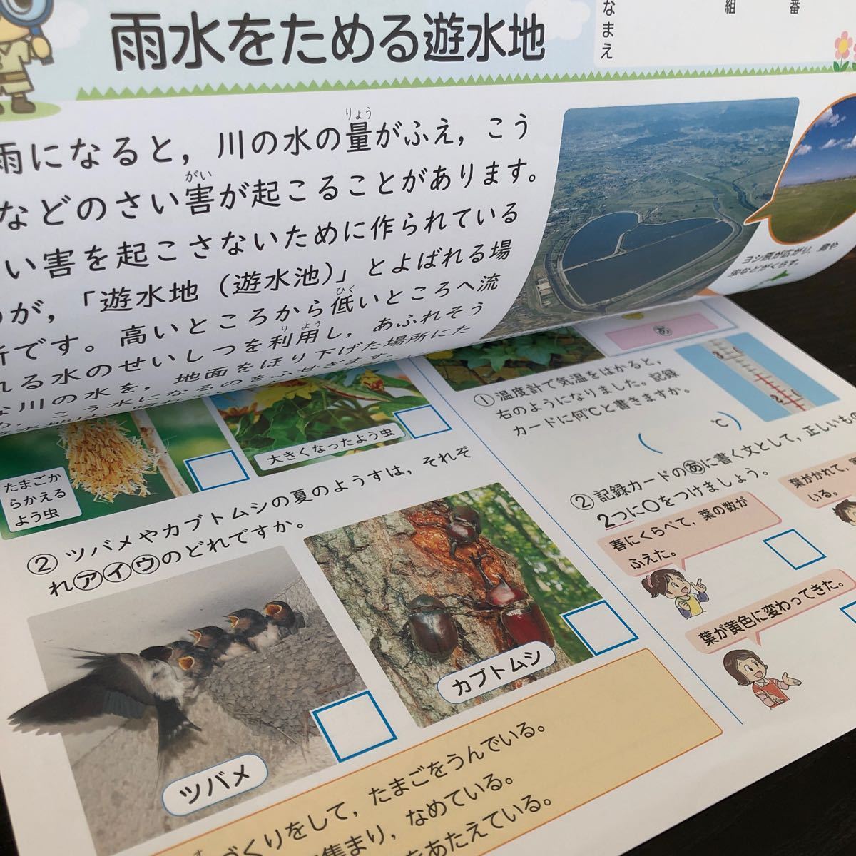 2125 基礎基本理科A ４年 正進社 小学 ドリル 問題集 テスト用紙 教材 テキスト 解答 家庭学習 計算 漢字 過去問 ワーク 勉強 非売品_画像6