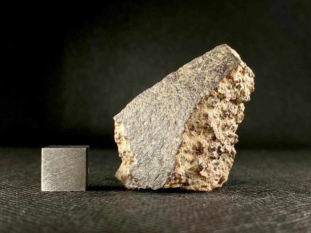 希少 LL5 コンドライト 隕石 NWA6287 天然石 メテオライト 15.3g 石質隕石 北西アフリカ 天然石 宇宙由来 パワーストーン 原石 鉱物標本の画像4