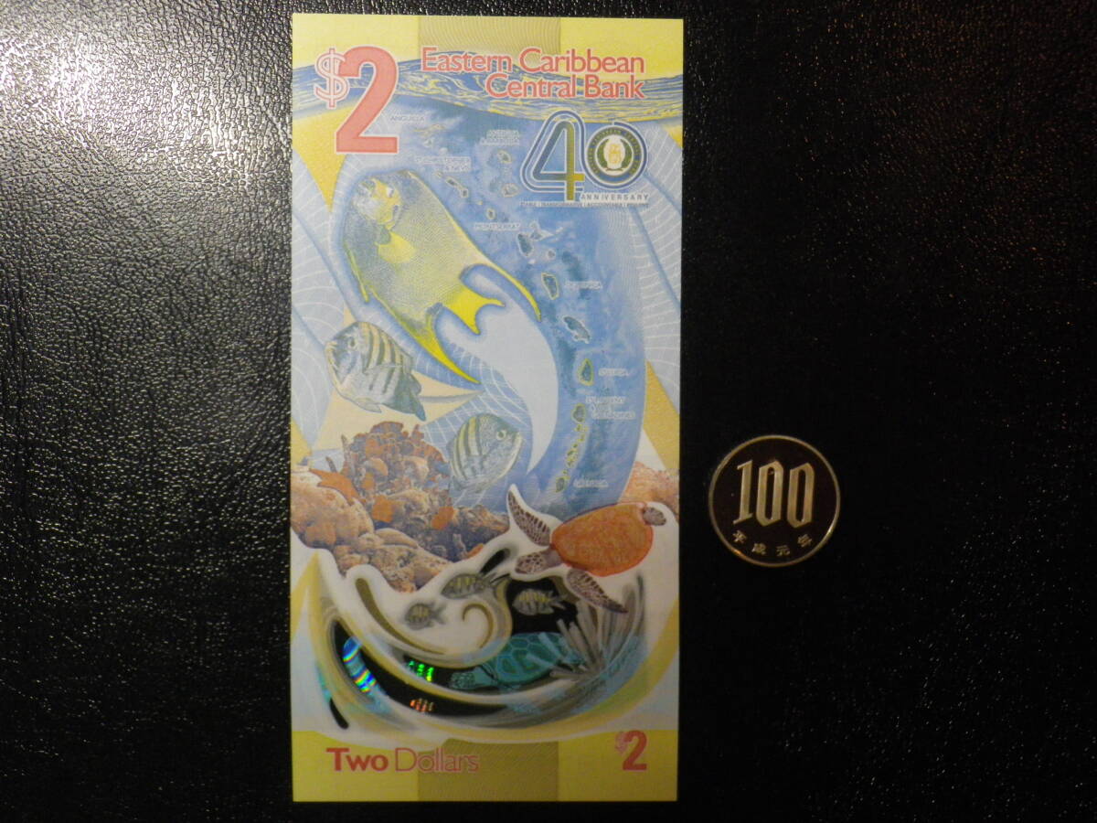 値下げ！100Yen~ Eastern Caribbean 2024年 ポリマー 記念紙幣 40th（クリケット＆ウミガメ）２Dollars 未使用_画像2