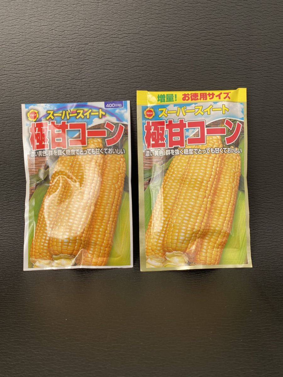 2024年2月入荷 トウモロコシ タネ 種 種子 極甘Corn大容量パック 2個セット 1900円相当 とうもろこし 家庭菜園_画像1