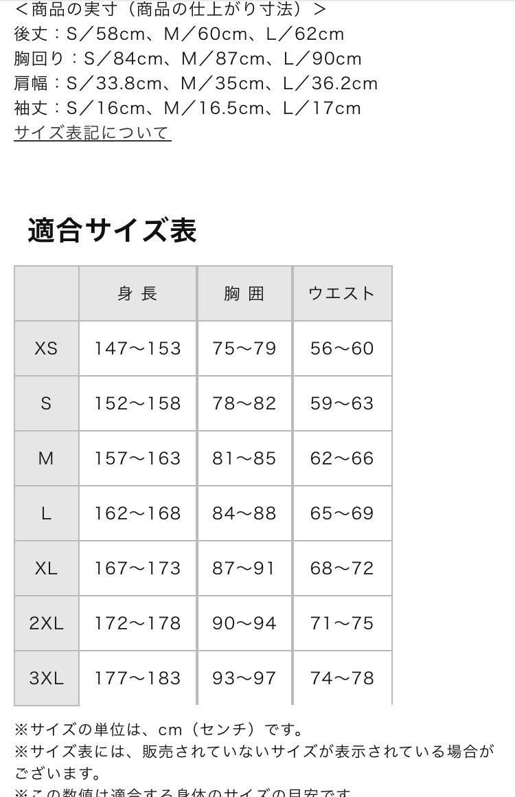 MIZUNO ランニング ドライサイエンスストレッチTシャツアロイグレーLサイズ J2JA1810ウィメンズ 女性 送料無料_画像3