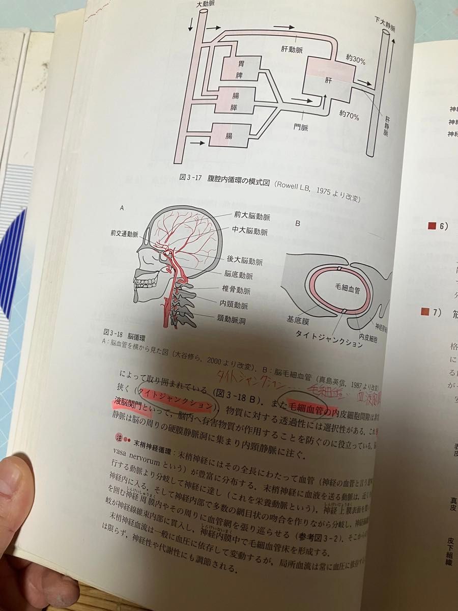 鍼灸教科書まとめ売り12冊中古東洋医学鍼灸マッサージ整体カイロプラクティック