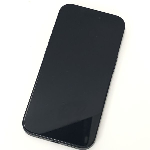 【極美品】APPLE iPhone15 256GB ブラック AppleStore購入品 判定〇 SIMフリー版 動作問題なし MTMN3J/A アイフォン モバイル EI0_画像10