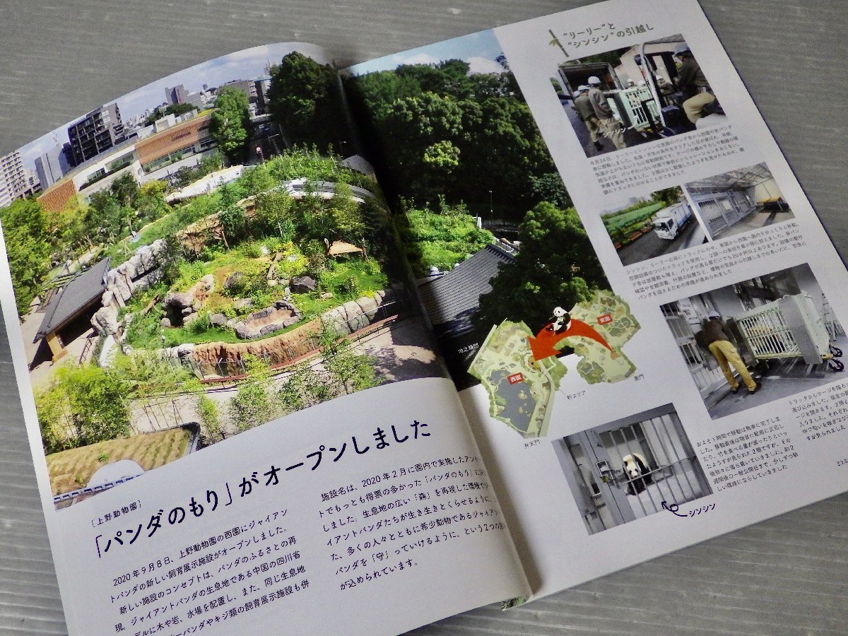 まとめ売り!!【動物園広報誌】どうぶつと動物園 パンダ特集〈2冊セット〉2021、2022年◆発行 東京動物園協会◆ジャイアントパンダ_画像5