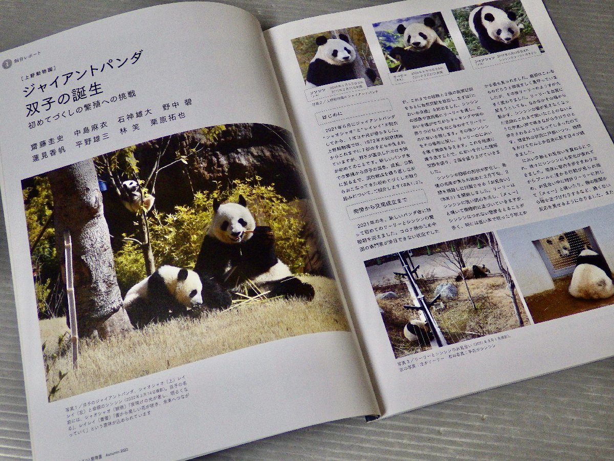 まとめ売り!!【動物園広報誌】どうぶつと動物園 パンダ特集〈2冊セット〉2021、2022年◆発行 東京動物園協会◆ジャイアントパンダ_画像3