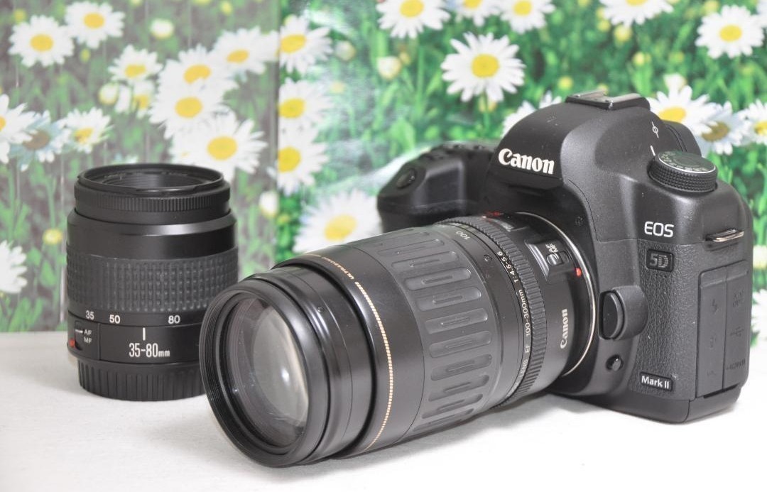 30864円 キヤノン Canon EOS 80D EF-S 18-135mm USM EF-S 55 30864円 キヤノン Canon EOS 80D EF-S 18-135mm USM EF-S 55