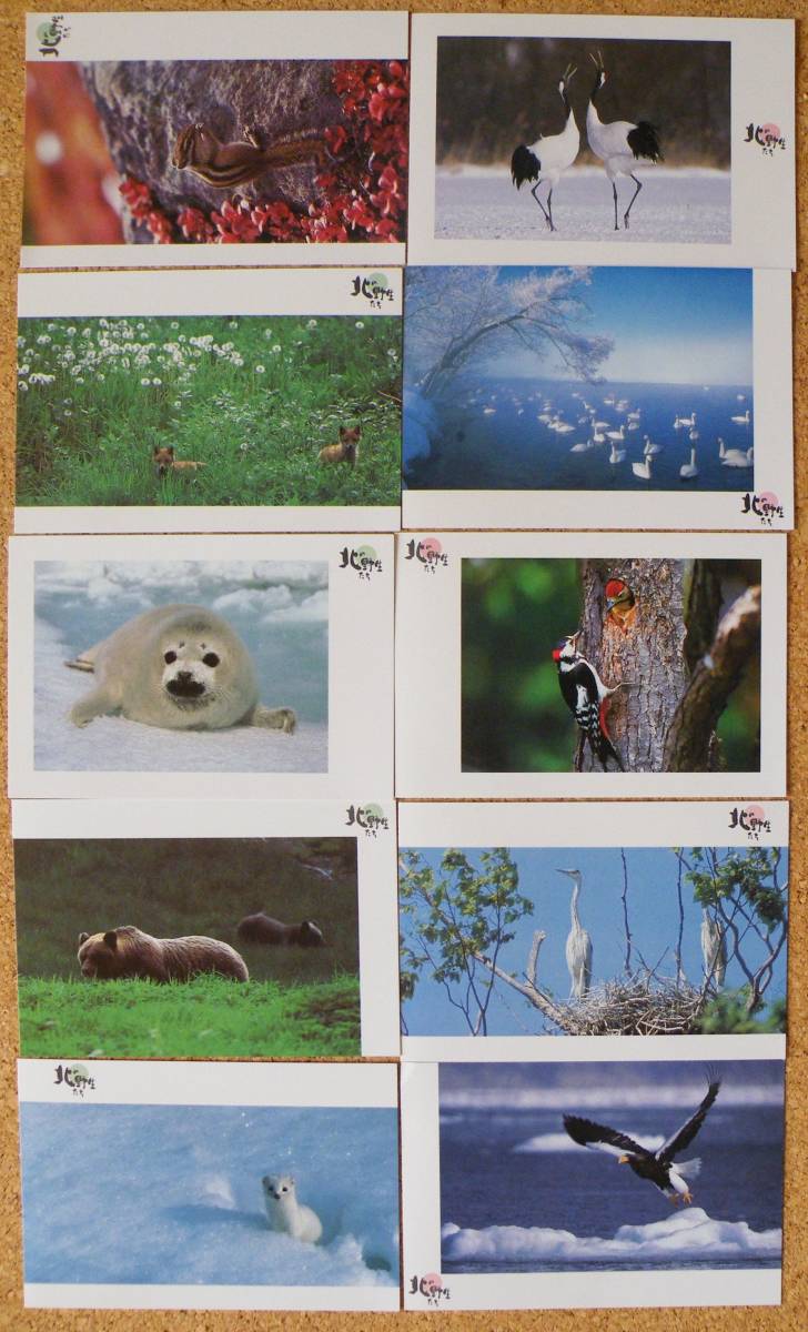 . entering postcard . white * Hokkaido S62[ north. . raw ..]10 kind small size seal the first day seal 