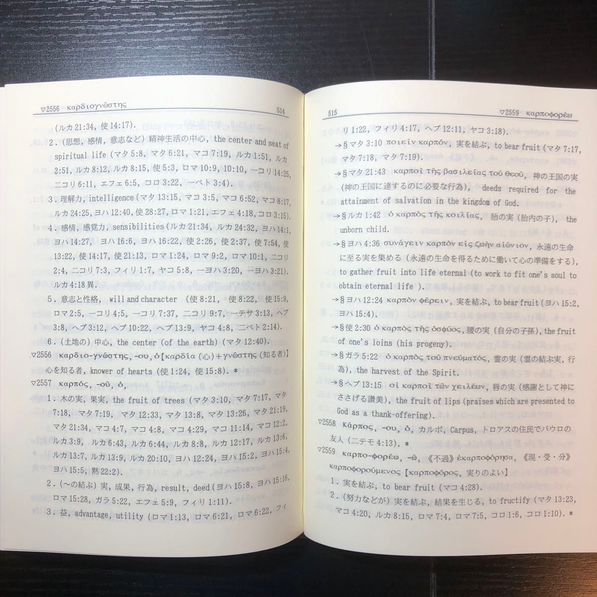 新約聖書ギリシア語辞典　改訂新版　玉川直重著　キリスト新聞社　キリスト教