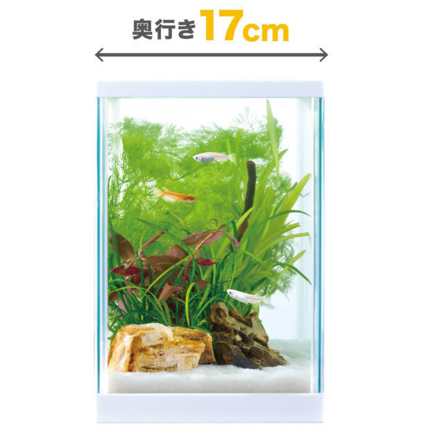 GEX desk Boy 600 white 5 point set tropical fish * aquarium / aquarium * aquarium / aquarium set 