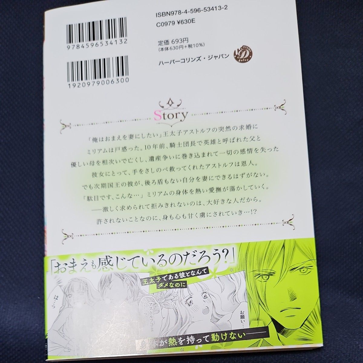 この腕から逃がさない！　王子さまは強気に蜜月計画中　１ （乙女ドルチェ・コミックス　ス１－０５） 杉本ふぁりな／著　斉河燈／原作