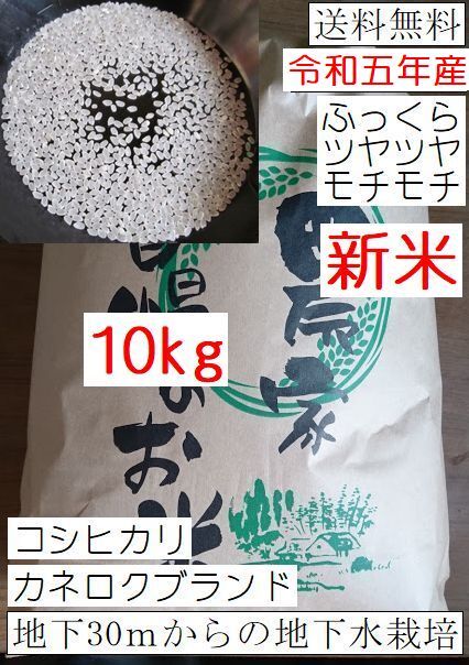 安全安心の地下水栽培　モチモチのコシヒカリ白米 10キロ送料無料　採れたて　令和5年産　栃木県産　農家直売03_画像1