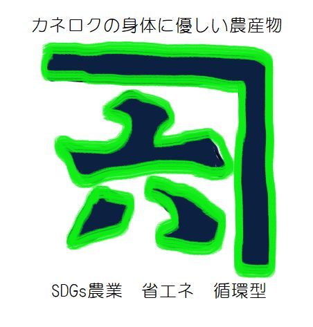 安全安心の地下水栽培　モチモチのコシヒカリ白米 10キロ送料無料　採れたて　令和5年産　栃木県産　農家直売01_画像5