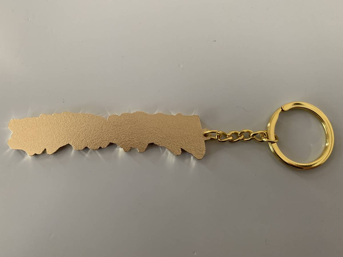 Fucking Awesome Gold Stamp Keychain_画像5