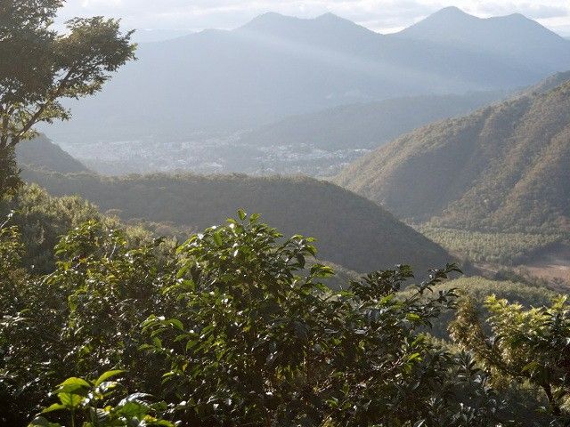 手網直火焙煎珈琲豆グアテマラサンファン農園テキシク200g