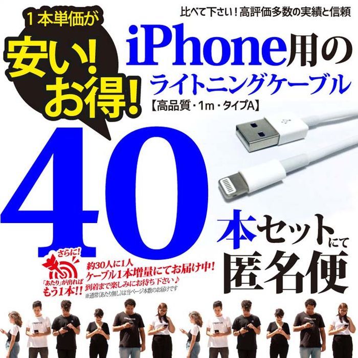 iPhone お得セット USB充電器ライトニングケーブル アイフォン Appleアップル純正品同等品質