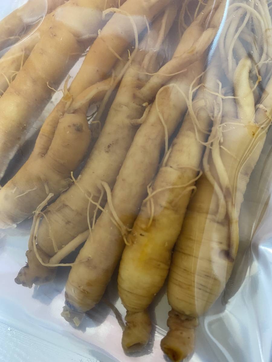 6 year root Goryeo carrot ( raw ) Goryeo carrot medicine serving tray sake for 110g( approximately 10ps.@) length Hakusan production 
