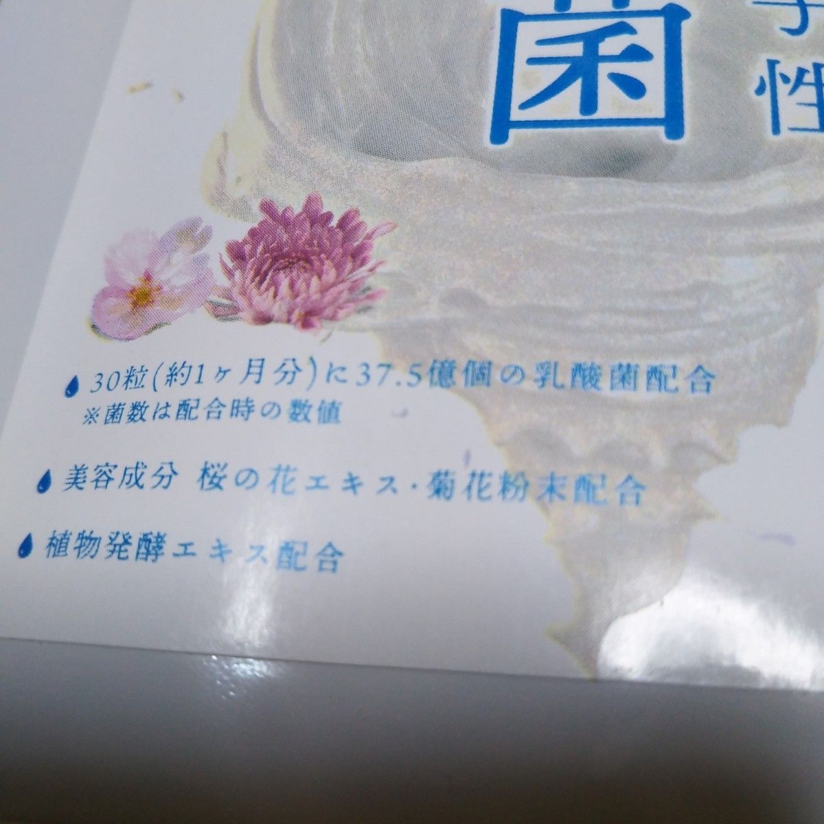 サプリ届く乳酸菌サプリメント1袋30 粒入×２袋セットで約2ヵ月分美容成分桜の花エキス菊花粉末配合！植物発酵エキス配合　新品未開封