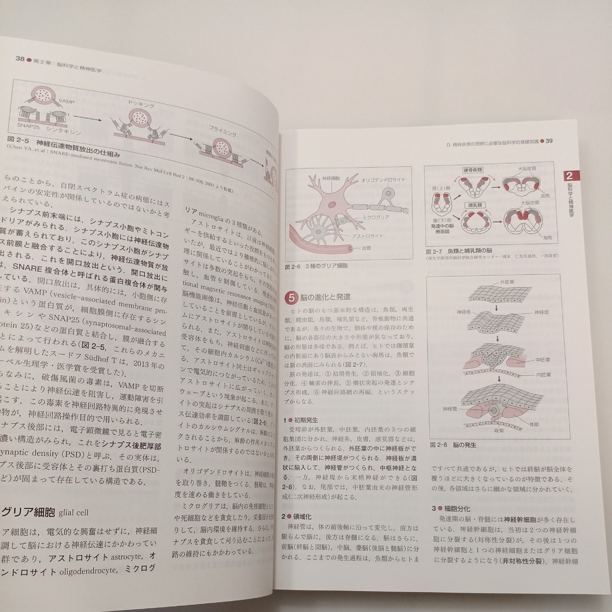 zaa-554♪標準精神医学 第8版 (STANDARD TEXTBOOK) 単行本 尾崎 紀夫 (著) 医学書院; 第8版 (2021/3/29)_画像6