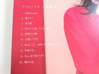 柴田淳 CD「ブライニクル」初回限定盤BOX仕様・ブックレット型写真集付・美品・新品同様_画像4