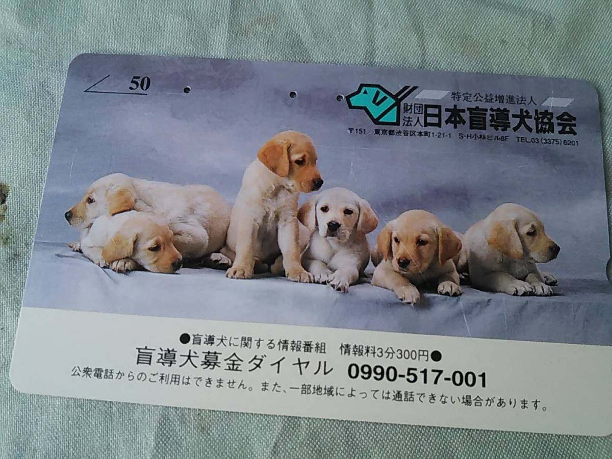 使用済み　テレカ　仔犬のお願い　日本盲導犬協会　＜110-016＞50度数_画像1