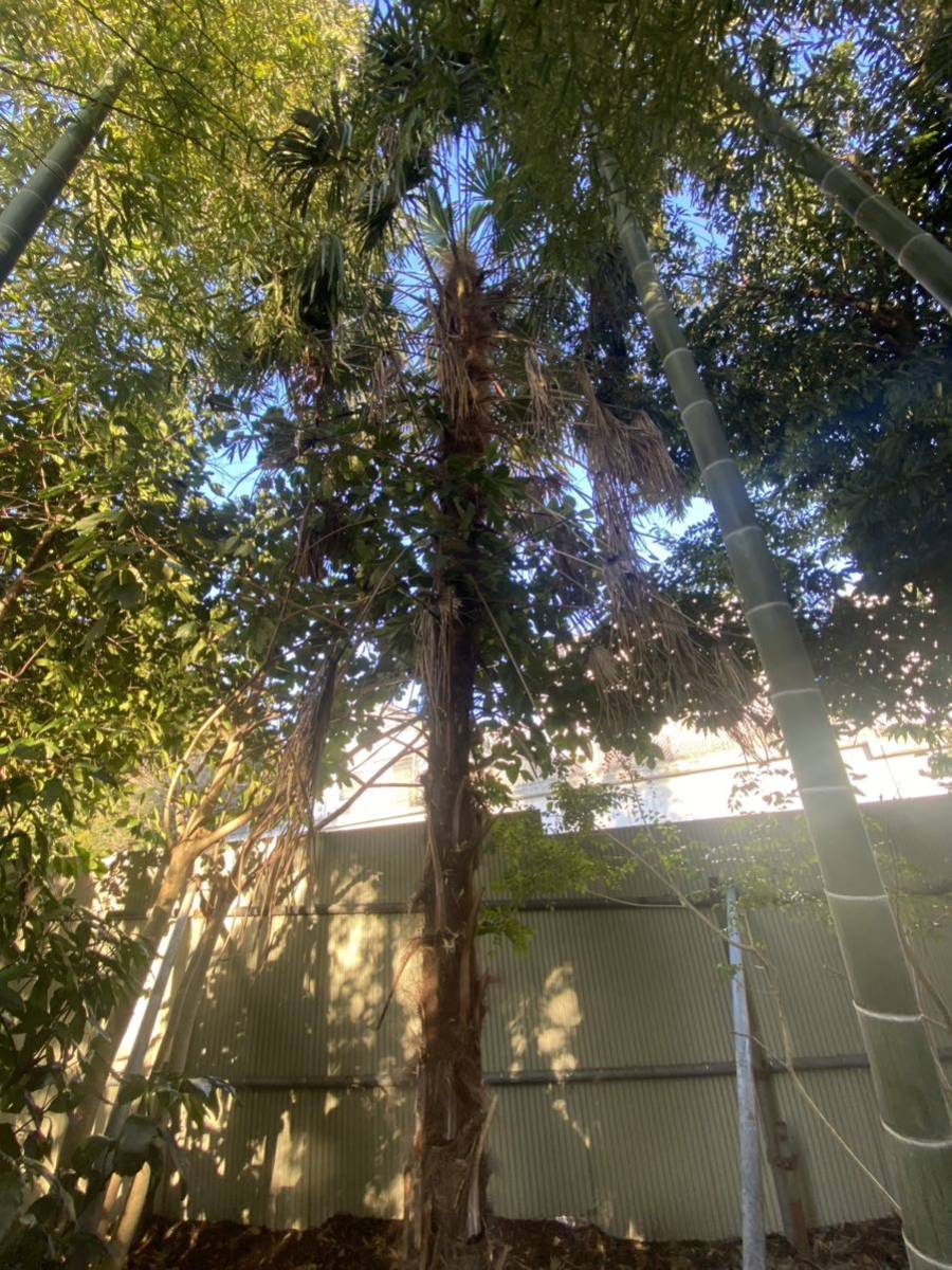 item_image_8