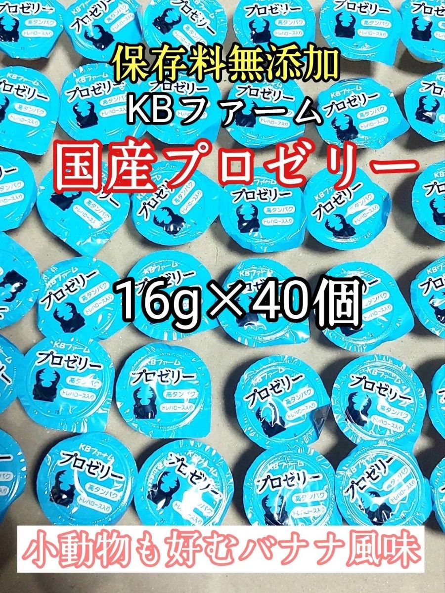 KBファーム 国産プロゼリー16g 40個 カブトムシ クワガタ 昆虫