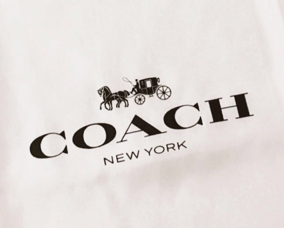 コーチ 「COACH」バッグ保存袋 旧型 (3690) 正規品 付属品 内袋 布袋 巾着袋 布製 ナイロン生地 ホワイト59×49cm 大きめ バッグ用_画像3