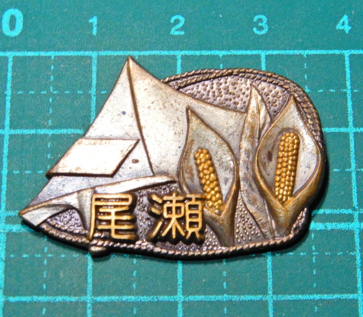 昭和レトロ 美品 1970年代 福島県 新潟県 群馬県 尾瀬 燧ヶ岳 登山 徽章 記章 バッジ バッチ メダル 登山 記念章 高山植物 水芭蕉 花柄_画像1