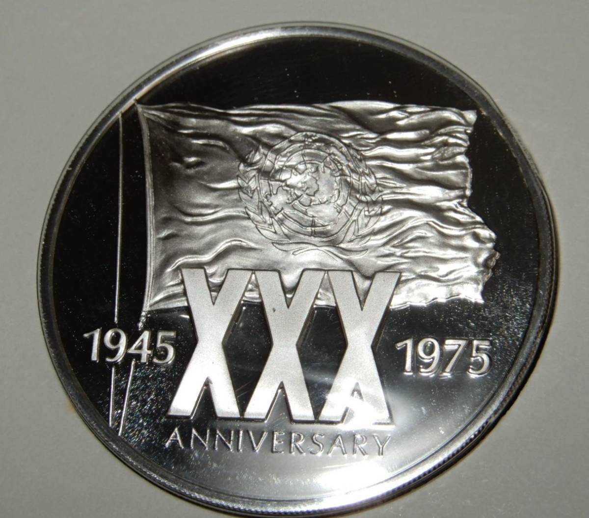 レア 美品 限定品 1975年 UN 国際連合 国連 発足30周年 純銀製 シルバー 造幣局製 公式記念品 記念章 メダル 記章 コイン 地球儀 紋章