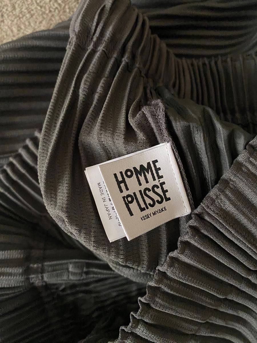 homme plisse issey miyake color pleats HP31JF194