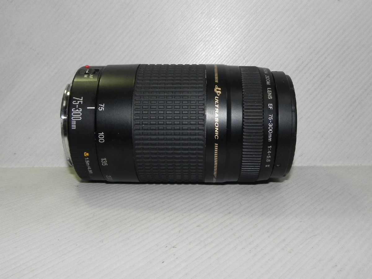 Canon EF 75-300mm f/4.0-5.6 II USM レンズの画像1