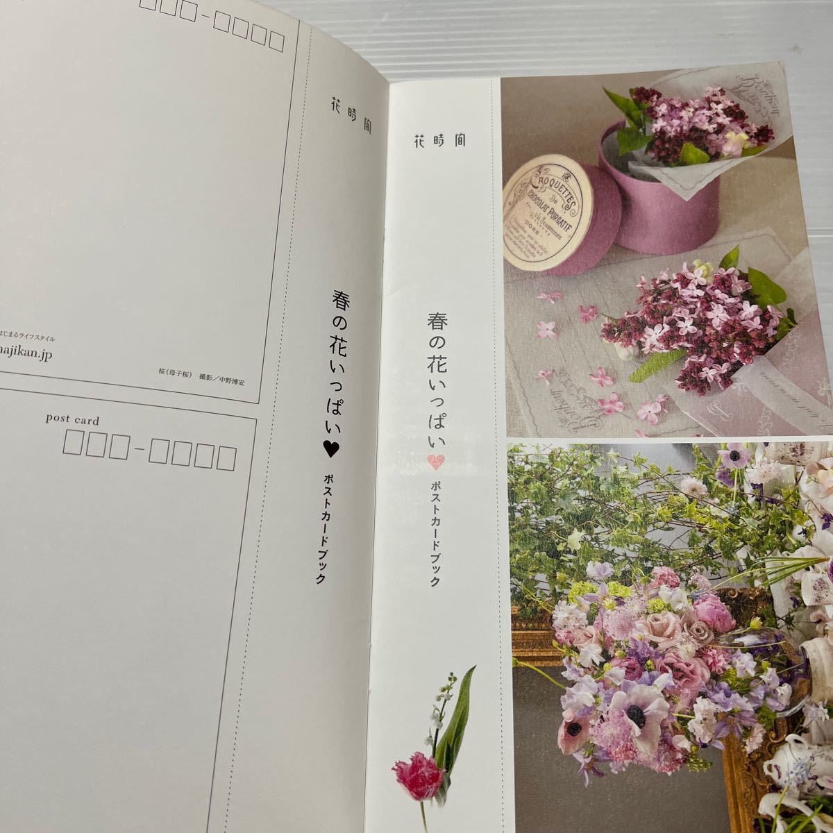 季節の花の妖精&春の花　ポストカードブック(花時間２０１４.春号付録)_画像3