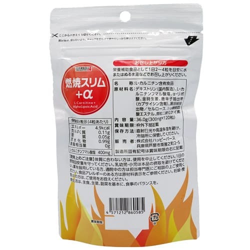 【送料無料】燃焼スリム+α 120粒 新品未開封品 賞味期限2026.07#α-リポ酸 #L-カルニチン #金時生姜 #カプサイシン #サプリメント_画像2