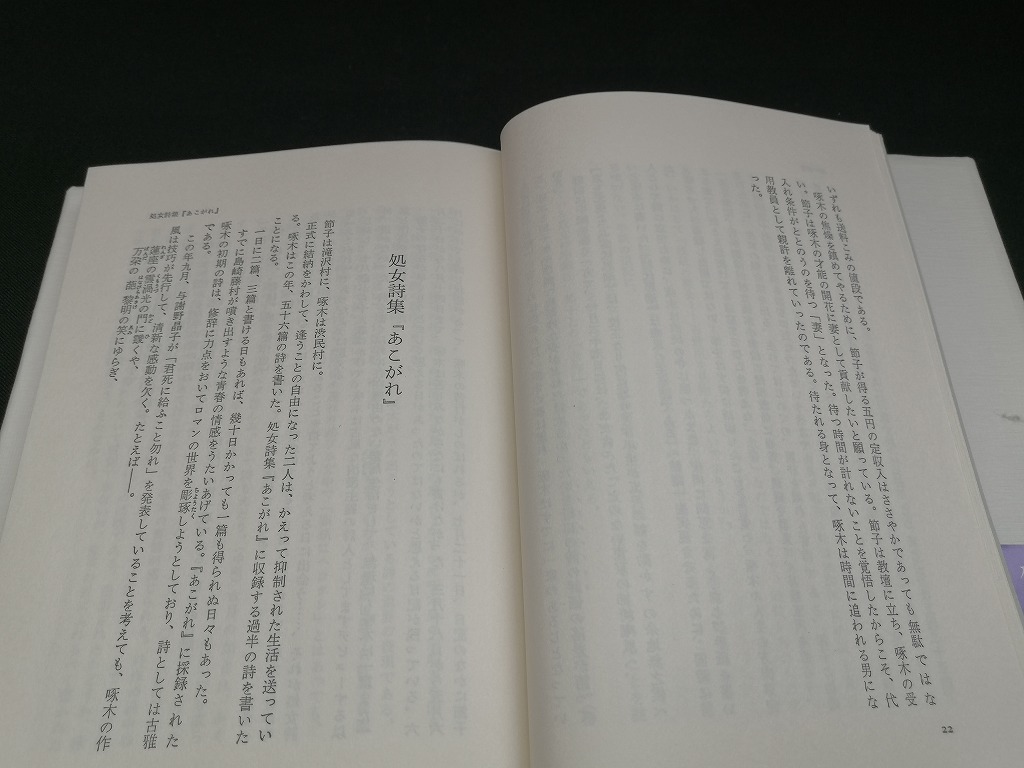 【中古 送料込】『石川節子　愛の永遠を信じたく候』著者　澤地久枝　出版社　講談社　1981年5月12日第1刷発行　◆N2-359_画像6