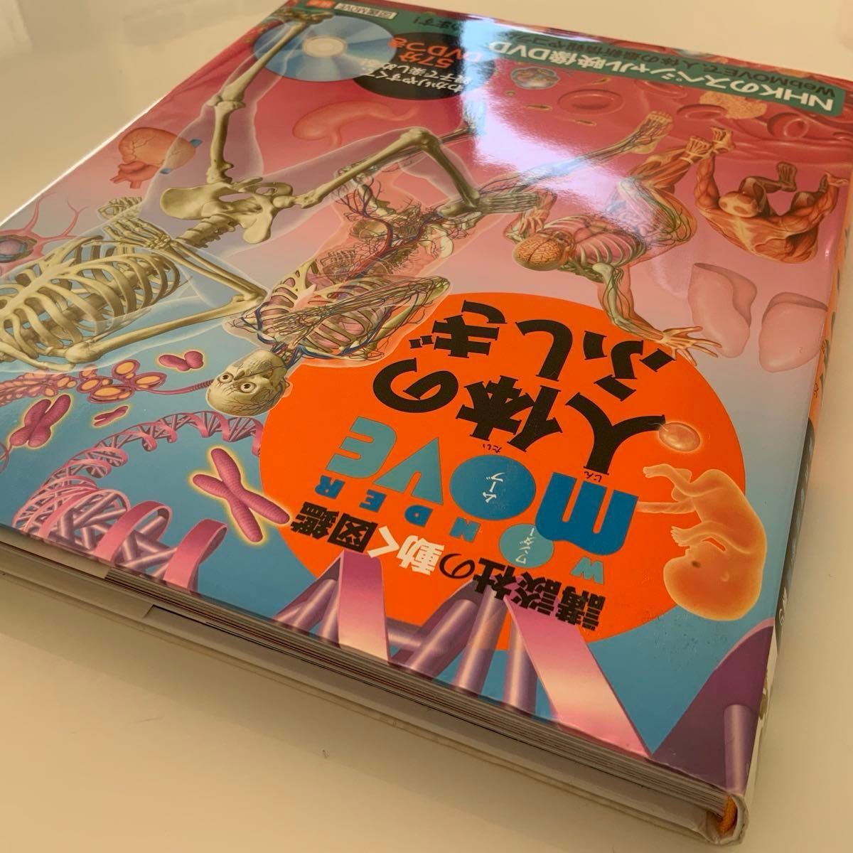 講談社 動く図鑑 move 人体のふしぎ 人体の不思議 ワンダー 講談社 動く図鑑 move 人体のふしぎ 人体の不思議 ワンダー