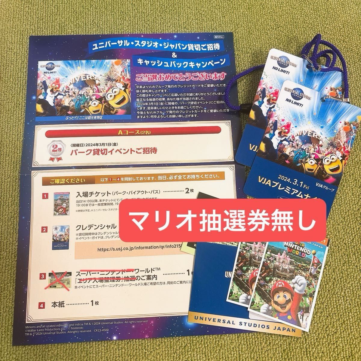 USJ ユニバーサルスタジオジャパン プレミアムナイト 3月1日 2枚 USJ ユニバーサルスタジオジャパン プレミアムナイト 3月1日 2枚