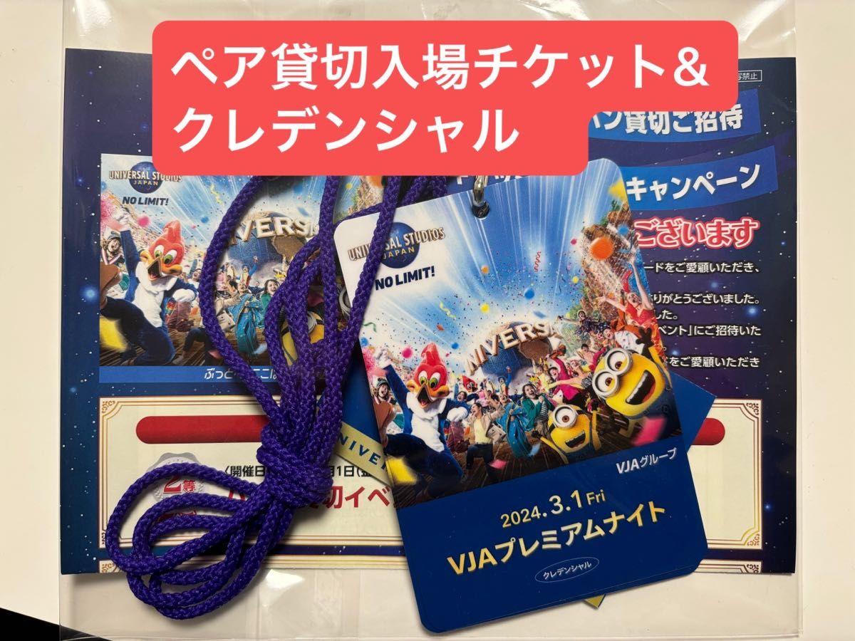 USJ ユニバーサルスタジオジャパン プレミアムナイト 3月1日 2枚 USJ ユニバーサルスタジオジャパン プレミアムナイト 3月1日 2枚