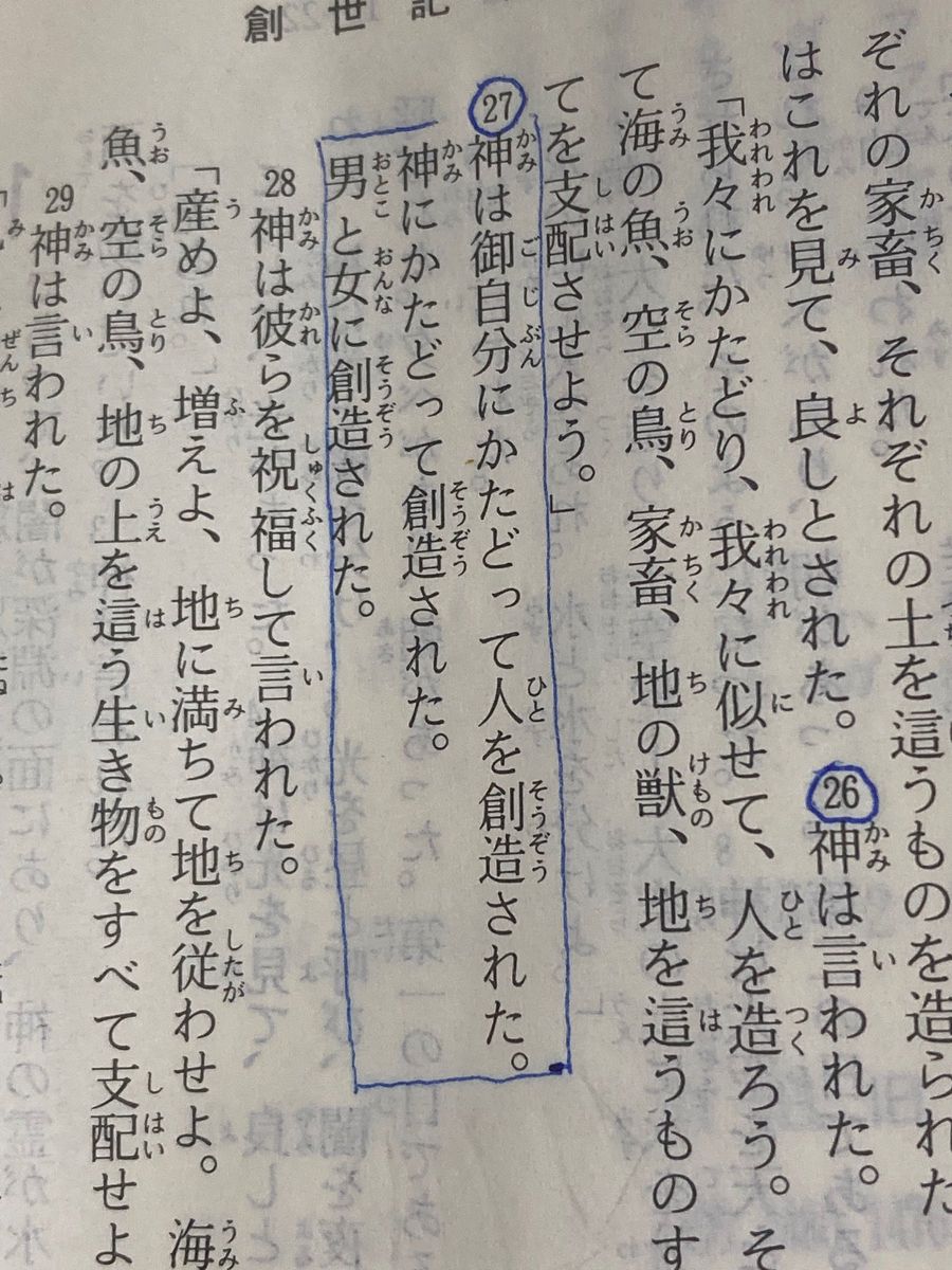 聖書　旧約聖書続編付き　新共同訳　日本聖書協会